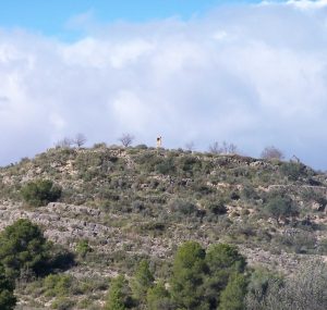 6torreseca ibrico del iv a.c