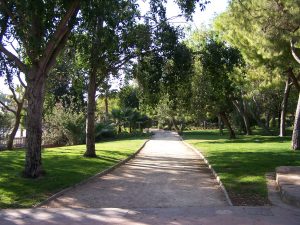 7parque pinada