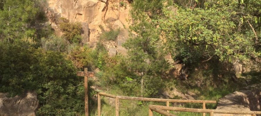 La Mancomunitat prepara ja la Carrera d’Arbres i Castells