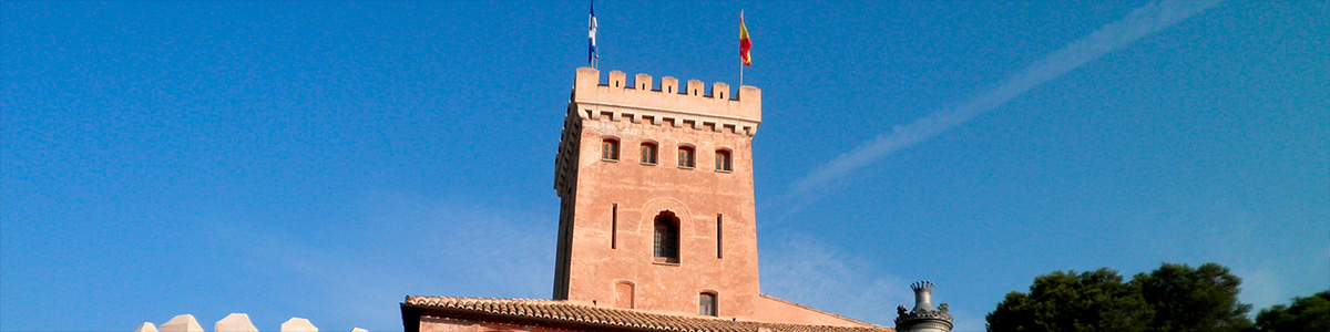 BENISANO BANNER