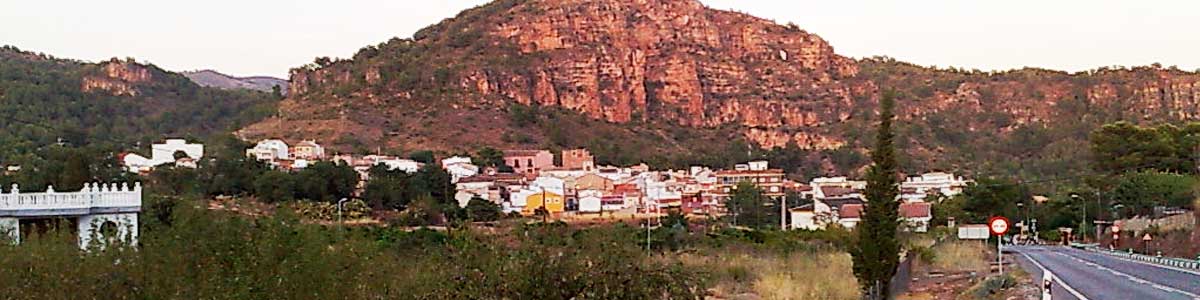olocau-BANNER