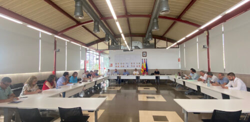 El pleno aprueba el Plan Local de Inclusión