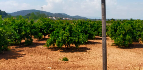 Nueva señalética en Riba-roja Túria gracias al Plan de Recuperación DANA
